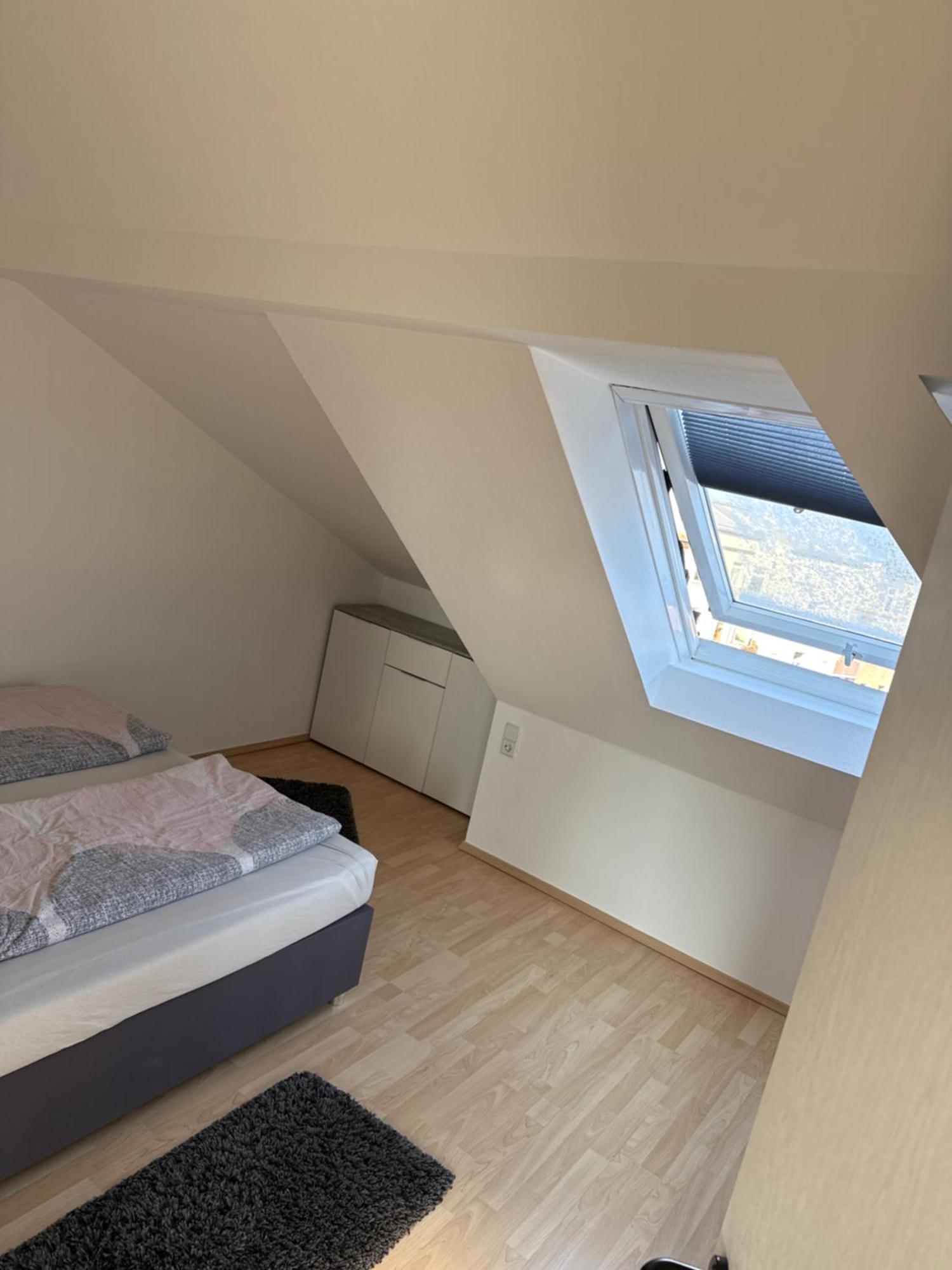 Kuschelige Dachgeschosswohnung Am Clarapark Leipzig Exterior photo